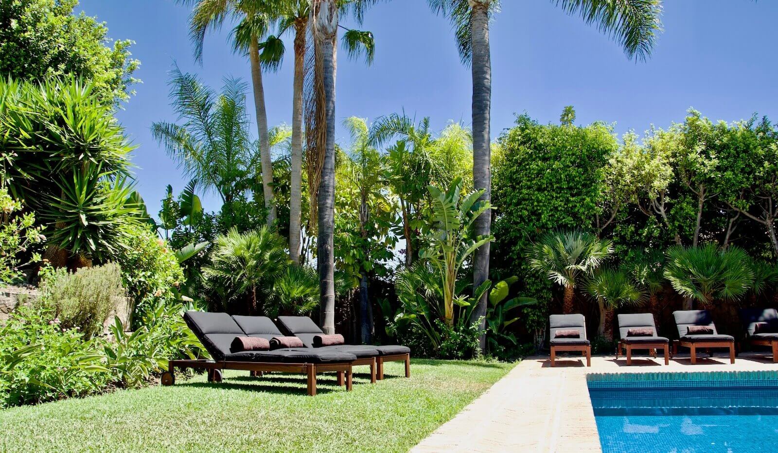 swimmingpool-la-ciguena-luxury-estepona-marbella-cancelada-BB